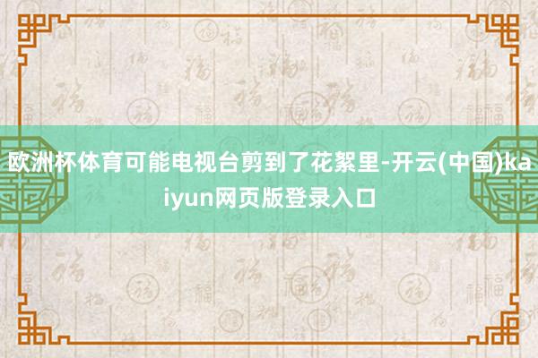 欧洲杯体育可能电视台剪到了花絮里-开云(中国)kaiyun网页版登录入口