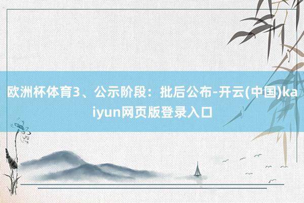 欧洲杯体育3、公示阶段：批后公布-开云(中国)kaiyun网页版登录入口