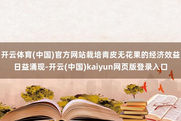 开云体育(中国)官方网站栽培青皮无花果的经济效益日益涌现-开云(中国)kaiyun网页版登录入口